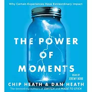 The Power of Moments: Why Certain Experiences Have Extraordinary Impact