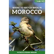 Where to Watch Birds in Morocco