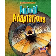 Animal Adaptations
