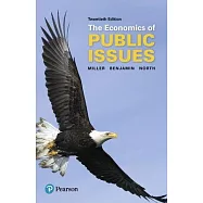 The Economics of Public Issues