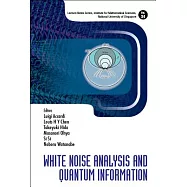 White Noise Analysis and Quantum Information