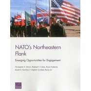 NATO’s Northeastern Flank: Emerging Opportunities for Engagement