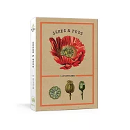 Seeds and Pods: 24 Postcards