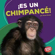 ¡Es un chimpancé! / It’s a Chimpanzee!