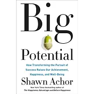 Big Potential: How Transforming the Pursuit of Success Raises Our Achievement, Happiness, and Well-Being