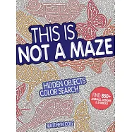 This Is Not a Maze: Hidden Objects Color Search