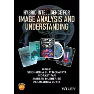 Hybrid Intelligence for Image Analysis and Understanding