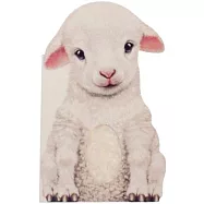 Furry Lamb
