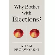 Why Bother With Elections?