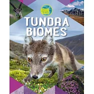 Tundra Biomes