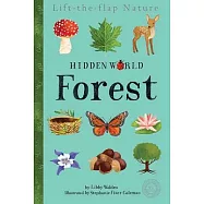 Hidden World: Forest