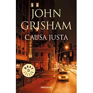 Causa justa/ The Street Lawyer