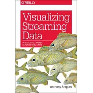 Visualizing Streaming Data: Interactive Analysis Beyond Static Limits