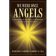 We Were Once Angels: Understanding the Sin Nature in Humankind a End of Times Revelation