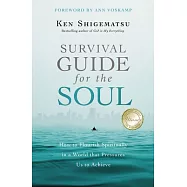Survival Guide for the Soul: How to Flourish Spiritually in a World That Pressures Us to Achieve