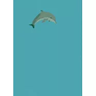 Dolphin Journal