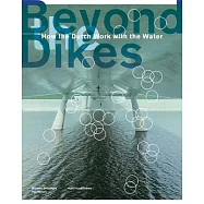 Beyond Dikes: How the Dutch Work with Water