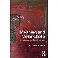 Meaning and Melancholia: Life in the Age of Bewilderment