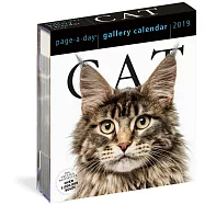 Cat Gallery 2019 Calendar