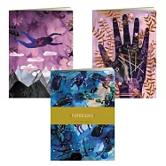 Practical Magic Notebooks: Set of 3 Blank Notebooks