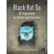 Black Hat Go: Go Programming for Hackers and Pentesters