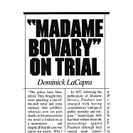 Madame Bovary on Trial