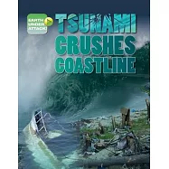 Tsunami Crushes Coastline