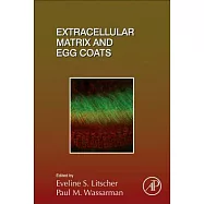 Extracellular Matrix and Egg Coats