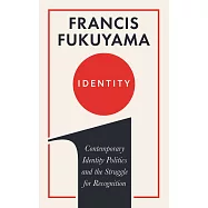 Identity : Contemporary Identity Politics and the Struggle for Recognition