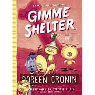 Gimme Shelter: Misadventures and Misinformation