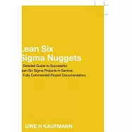 Lean Six Sigma Nuggets: A Fully Commented Project Documentation