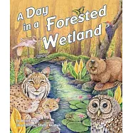 A Day in a Forested Wetland