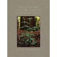 The Once and Future Forest: California’s Iconic Redwoods