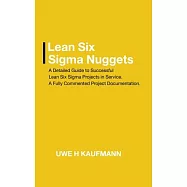Lean Six Sigma Nuggets: A Fully Commented Project Documentation