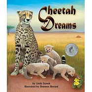 Cheetah Dreams