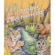 Un día en el bosque del humedal