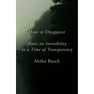 How to Disappear: Notes on Invisibility in a Time of Transparency
