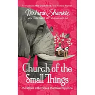 Church of the Small Things: The Million Little Pieces That Make Up a Life - Library Edition