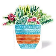 Succulents in a Book: Jacket Comes Off. Plants Pop Up. Display on Your Desk!