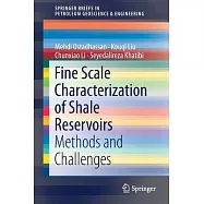 Fine Scale Characterization of Shale Reservoirs: Methods and Challenges