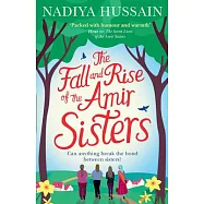 The Fall and Rise of the Amir Sisters