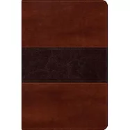 Biblia del pescador / Fisherman’s Bible: New Vercion Internacional, I Biblia del Pescador caoba símil piel, letra grande / New I