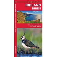 Ireland Birds: A Folding Pocket Guide to Familiar Species
