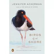 Birds by the Shore: Observing the Natural Life of the Atlantic Coast