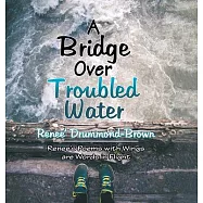A Bridge over Troubled Water