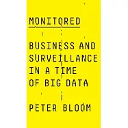 Monitored: Business and Surveillance in a Time of Big Data
