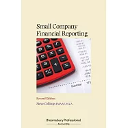 Small Company Financial Reporting
