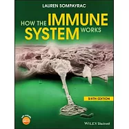 How the Immune System Works