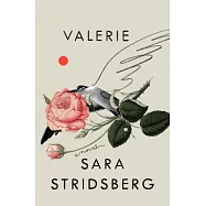 Valerie: Or, the Faculty of Dreams: A Novel