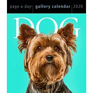 Dog Page-A-Day Gallery Calendar 2020